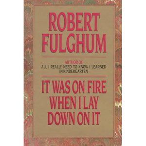 It Was on Fire When I Lay Down on It (Hardcover)